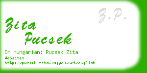 zita pucsek business card